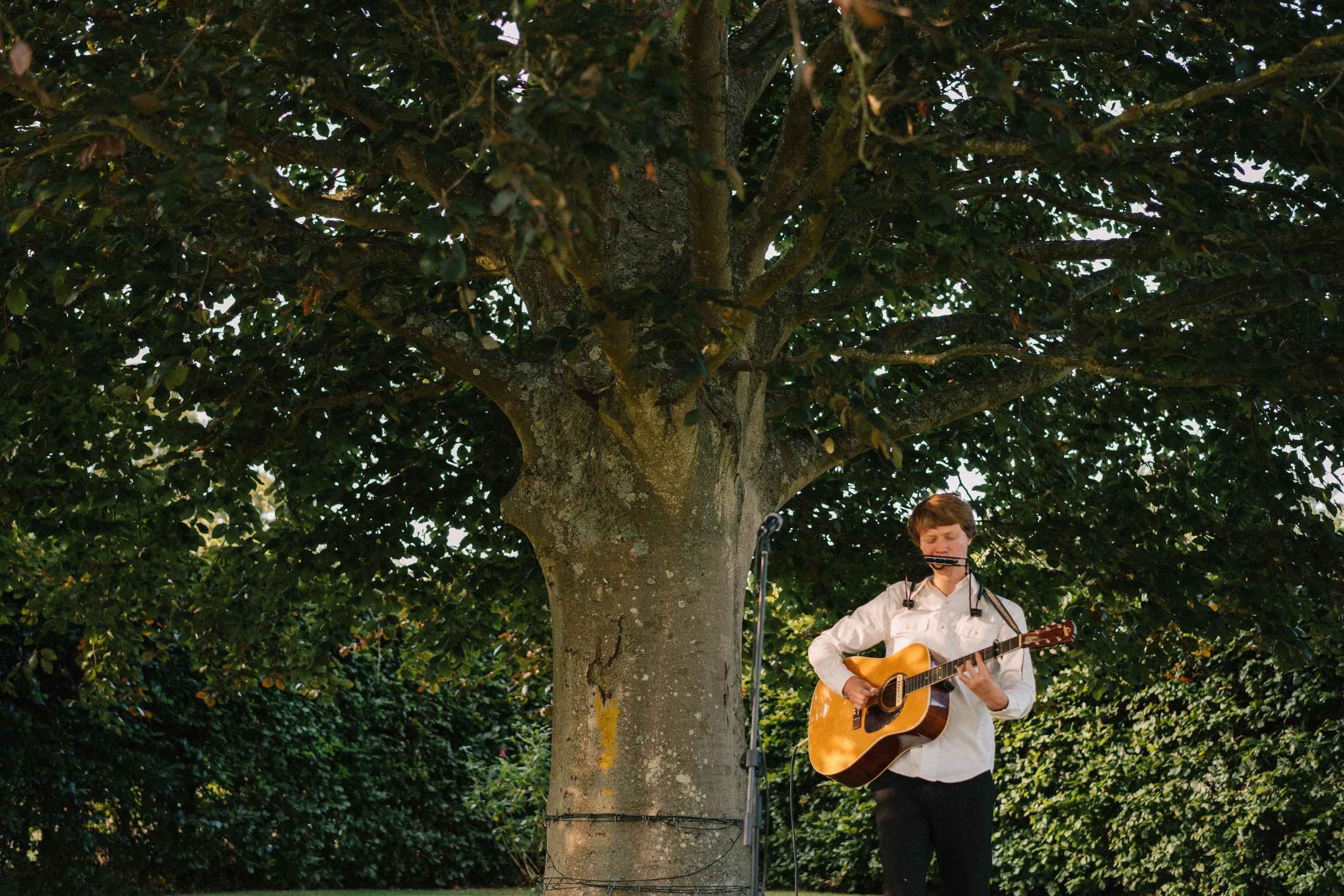 A guitarist plays beneath a huge old tree in the priory garden