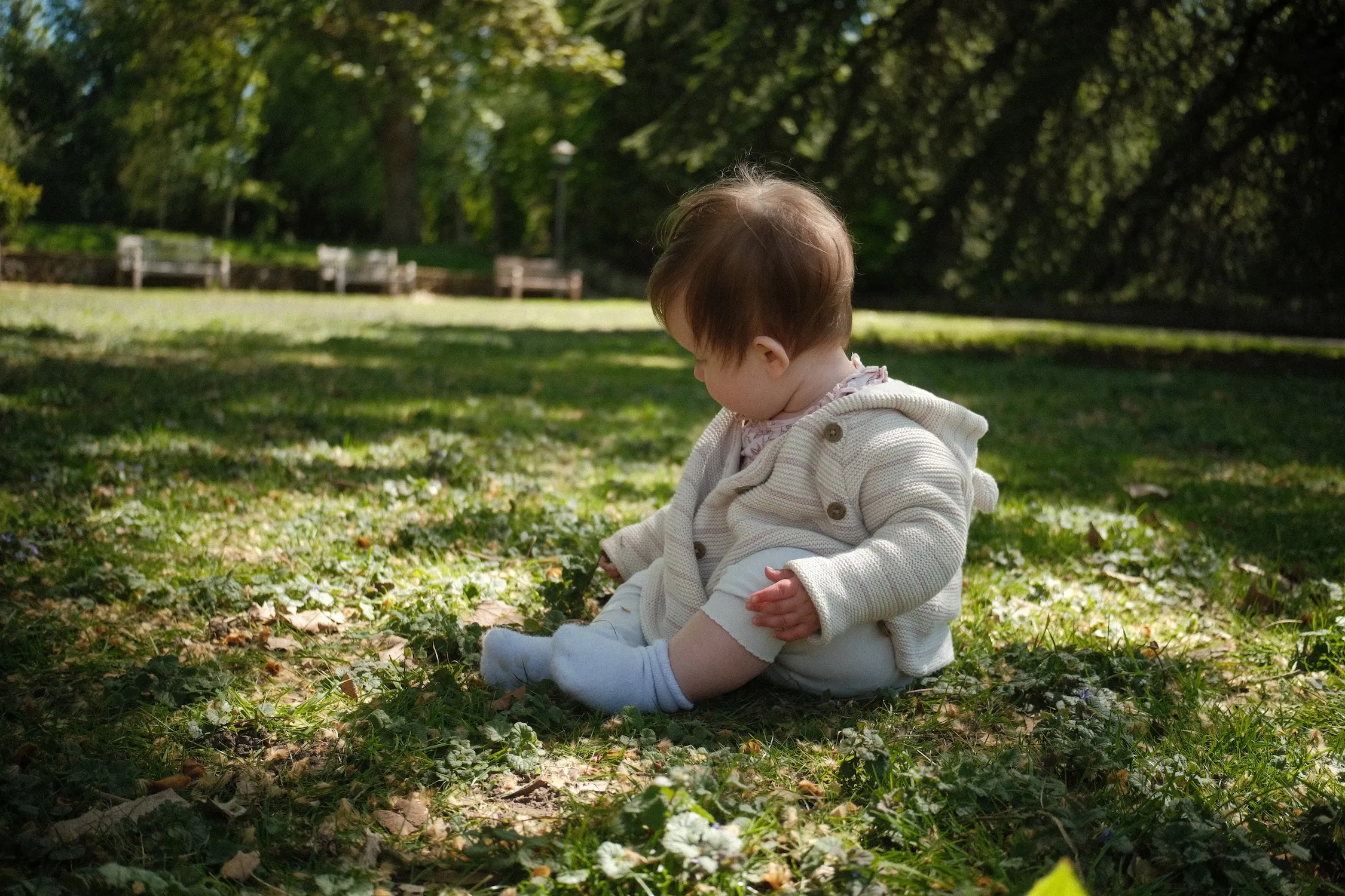 A baby sits in dappled shade on the lawn at The Friars, Aylesford, with benches and trees behind