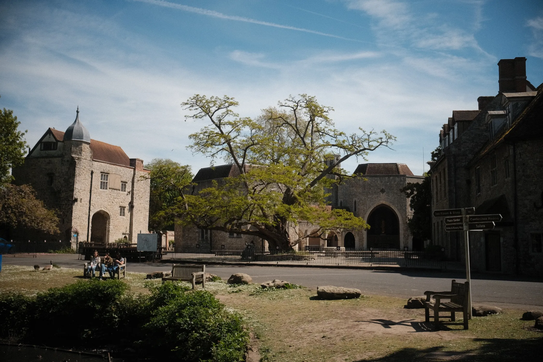 The Friars at Aylesford on a spring day: old stone priory buildings and a great spreading tree on the lawn